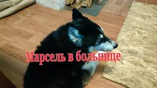 Марсель заболел
