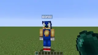 What's inside Sonic?