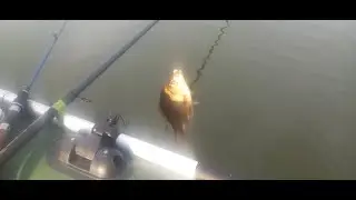озеро Тыгишь, рыбалка на карася