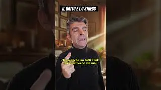 Il gatto e lo stress #gatto #cat #catlover #humor #fun #comedy #cabaret #stress