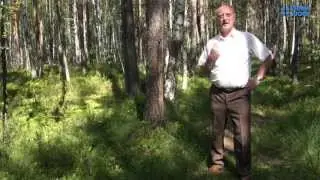 Родные места. Часть 12. На границе двух деревень.