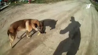 Брат