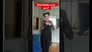 Не кот? 