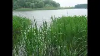28.05.2011 Глиная Навария с Любой и Олегом
