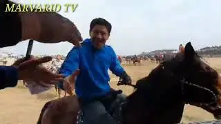 Karim polvon Otabek akani Chempioni bilan. Beshariq uloq. 4-mart