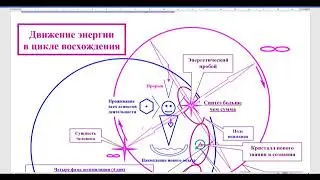 Естественное течение мысли и циклы Ноосферы Профессорский клуб