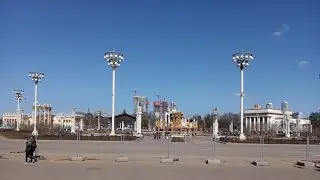 Пополнение бугенвиллиевого 