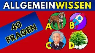 Teste dein Allgemeinwissen in unter 10 Minuten ⚡🧠 | Mittelschweres Allgemeinwissenquiz!