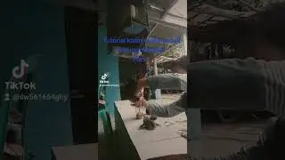 Cara kasih makan anak burung merpati..  yg belum tumbuh bulu.