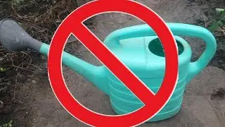 Більше поливальницею не користуюсь! Цікаве рішення для теплиці!
