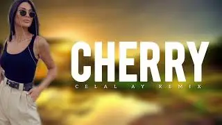 Cherry   Popular Mega Hit Music