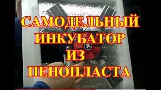 САМОДЕЛЬНЫЙ ИНКУБАТОР ИЗ ПЕНОПЛАСТА 4 СМ.