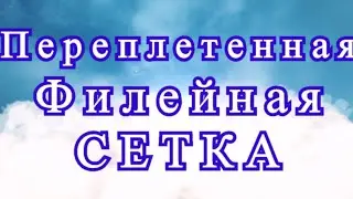 Переплетенная двойная филейная сетка крючком - Мастер-класс