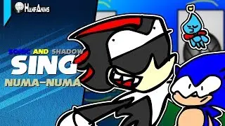 Sonic and Shadow Sing Numa-Numa