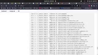 Jenkins Pipeline deploy dotnet API