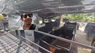 ดูไลน์​สนาม​ Boneyard​