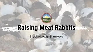 Raising Meat Rabbits: April 2022 National Virtual Gathering