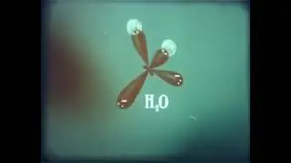 Общие свойства растворов