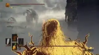 bug souls 3: got STUCK in fog wall.