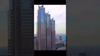 The Beautiful City of Tokyo Japan   