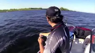 Ловля щуки спиннингом на воблер Minnow OSP Asura Rudra 130 SP на средней Волге Алексей Шанин ч1