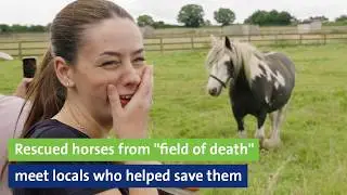 Rescued horses from "field of death" meet locals who helped save them