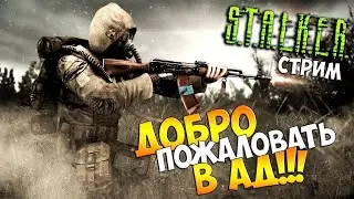S.T.A.L.K.E.R.: Тень Чернобыля - МОД - ТАЙНЫЕ ТРОПЫ 2 . ЧАСТЬ 4  и в гостях мой друг единорожек