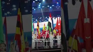 Игры Брикс