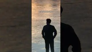 #saalhaerid