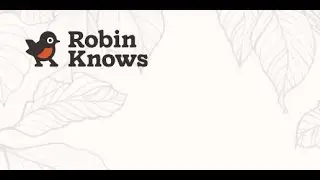 Techstination interview: Robin Knows app aims to help with tech and scams