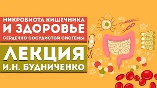 Лекция И.Н. Будниченко «Микробиота кишечника и здоровье сердечно-сосудистой системы: где связь?»