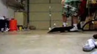 skateboarding in my garoge