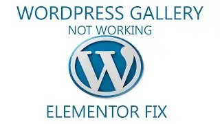 Wordpress gallery (Elementor) stopped working. Solution and quick fix.
