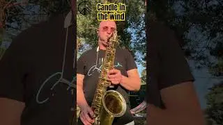 Candle in the wind (Elton John)