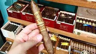 Oliva Section!!! 11/3/24