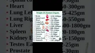 🤩Weight of human organs for general knowledge @prasad-de4uj 🔔Subscribe, like&share for more updates