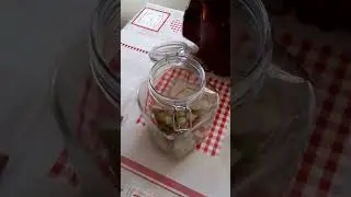 pétillant de rhubarbe avec du kéfir (1)