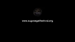 Zug Vögel Festival Süd #02 "The Interview Reel"