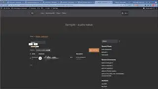 Codecanyon Shop Builder - Implement audio wave + filters