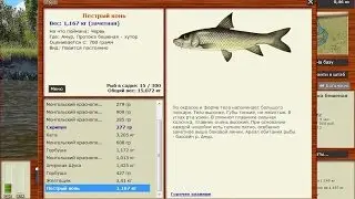 Ловля серебряного карася в русской рыбалке 3.99 на озере