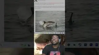 Shark Attack Leaving One Man Deceased