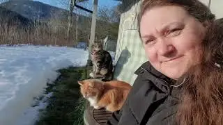 Сидим, ждём весну. Коты меня выгнали из дома. Выходной и солнце, что может быть лучше? 😉
