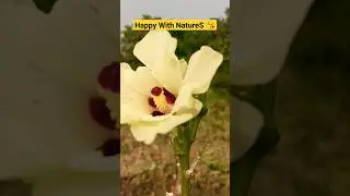 Enjoy Beautiful Nature 😍