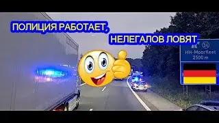 НЕДЕЛЯ ПРОЛЕТЕЛА, НЕЛЕГАЛОВ ЛОВЯТ ВЕЗДЕ, МЫ ЕГО НАШЛИ