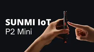 SUNMI P2 Mini