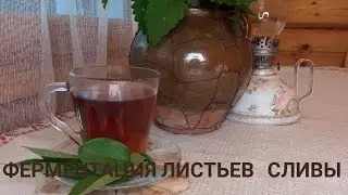Ферментация листьев сливы