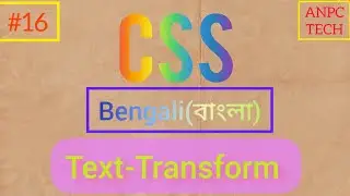 Text Transform in css