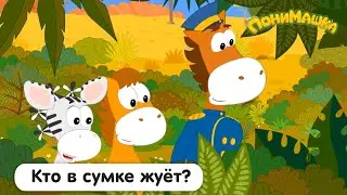 Кто в сумке жуёт? | ПониМашка | 26 серия