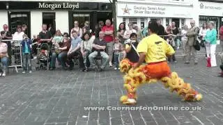 Chinese Day Caernarfon Festival 2012