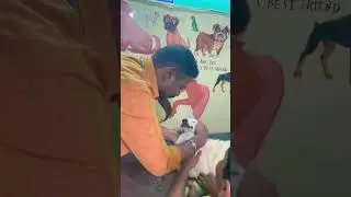 We treat with love, care and affection❤️ #trending #viral #dog #trendingshorts #viralshorts #shorts